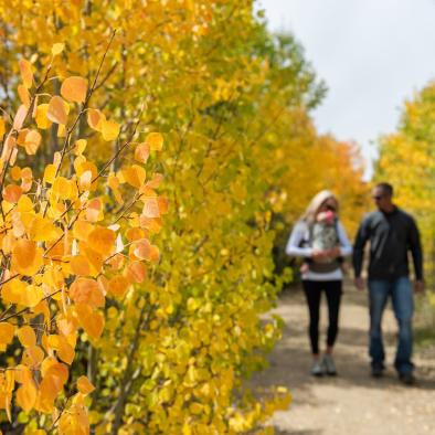 Family Hiking in Fall
